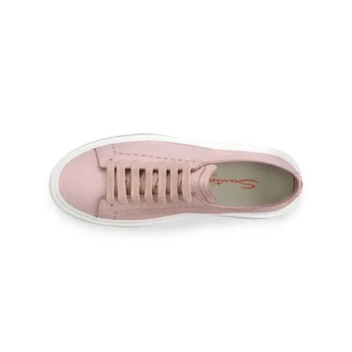 Santoni Women's pink leather sneaker